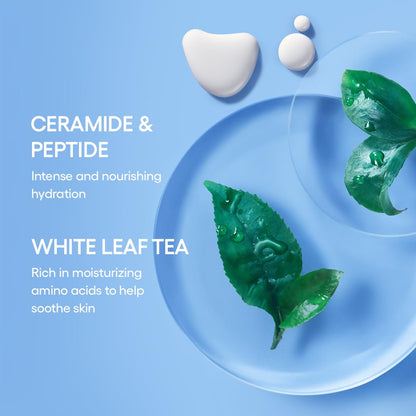 LANEIGE Icons to Go Set: Cream Skin, Water Bank Cream, Lip Sleeping Mask, Water Sleeping Mask, Travel Size, Full Size, Hydrate, Barrier-Boosting