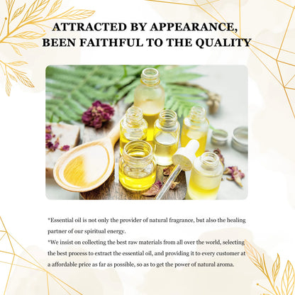 Experience Pure Bliss with 10ml Natural Plant Essential Oils – Lavender, Jasmine, Eucalyptus, and Vanilla for Diffusers and Humidifiers